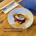Отель Zamecky Anton Florian