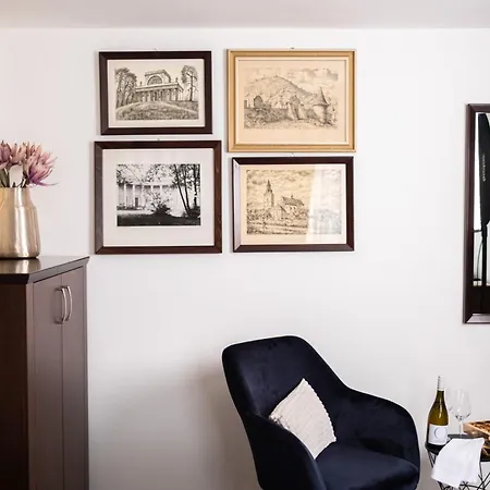 Anton Florian, Zámecký Hotel